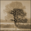 nature ART - Bild 4