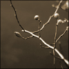 nature ART - Bild 8