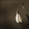 nature ART - Bild 10