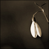 nature ART - Bild 11