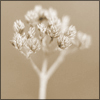 nature ART - Bild 6