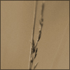 nature ART - Bild 8