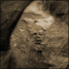 aNNi ART - Bild 2