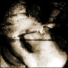 aNNi ART - Bild 7