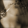 aNNi ART - Bild 2